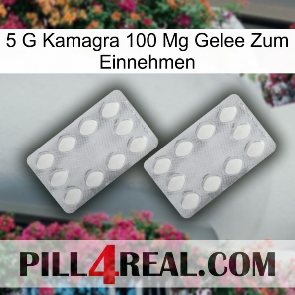 5Gm Kamagra 100Mg Oral Jelly 17